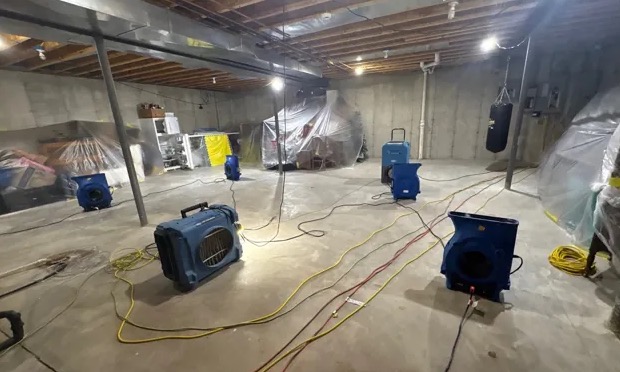 Basement Mold Cleanup in Beaverton, OR
