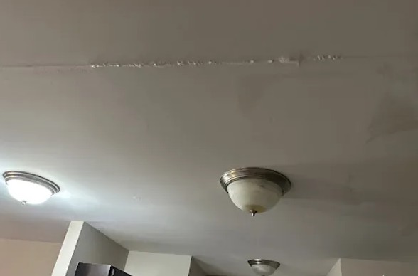 Ceiling Mold Removal in Beaverton, OR