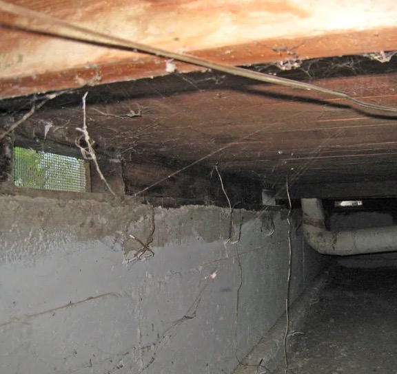 Crawl Space Mold Removal in Beaverton, OR