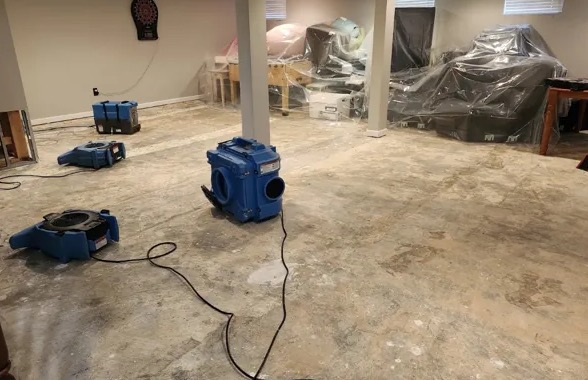 Hidden Mold Detection in Beaverton, OR